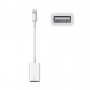 Adaptateur Apple Lightning vers USB pour appareil photo