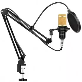Kit d'enregistrement de studio de microphone BM-800, monture antichoc, filtre pop, bras de suspension réglable