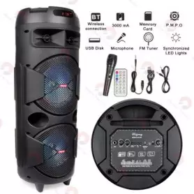 Haut-parleur Bluetooth portable Subwoofer CH-8300 avec microphone, radio FM et lumières disco