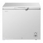 Congélateur Coffre Hisense FC260SH – 260 Litres, Économie d’Énergie, Argent