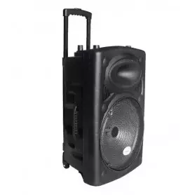Haut-parleur chariot portable Icona ILTS-15BL 500 W + 2 micros sans Fil, 15 pouces avec une puissance de crête