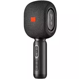 Microphone haut-parleur professionnel dynamique sans fil karaoké portable, Bluetooth, avec carte TF