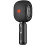 Microphone haut-parleur professionnel dynamique sans fil karaoké portable, Bluetooth, avec carte TF