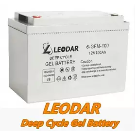 Batterie Gel Cycle Profond LEODAR 6-GFM-100, 12V, 100Ah, Fiabilité et Performance Maximales