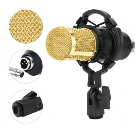 Kit Microphone à Condensateur Vocal Légendaire Professionnel, avec carte son V8s améliorée, Filtre anti-pop réglable