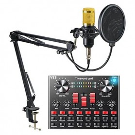 Kit Microphone à Condensateur Vocal Légendaire Professionnel, avec carte son V8s améliorée, Filtre anti-pop réglable