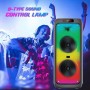 Woofer Haut-Parleur 10 pouces, 240 W avec Boîte en Bois Haute Puissance Rechargeable Bluetooth Karaoké
