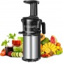 Extracteur de Jus Lent Sanford SF6822JC, 200 W, 45-65 tours/min acier inoxydable
