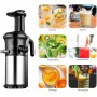 Extracteur de Jus Lent Sanford SF6822JC, 200 W, 45-65 tours/min acier inoxydable