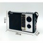 Radio Portable Solaire NS-5510S, 4 Bandes avec Lampe de Poche LED & Fonction Haut-Parleur