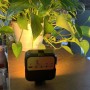Lampe de Remplissage Mini Portable WL62 Photo 49 LED avec Clip pour Caméra, Smartphone et Ordinateur