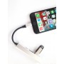 Concentrateur USB Lightning vers USB (Charge Rapide 65W), Alliage d’aluminium