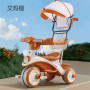 Poussette Tricycle 3 Roues pour Enfant 1 à 6 Ans, vélo de voyage et tricycle évolutif