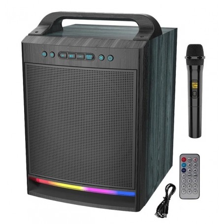 Système HiFi Portable Sing-e ZQS8170, Enceinte 8” Bluetooth avec Bass Boost et LED RGB