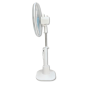 Ventilateur Rechargeable Bassafan BA-T4818 avec Télécommande et LED