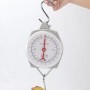 Balances suspendu à cadran série H, Crochets en S, poids maxi 110KG - ZY006B