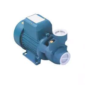 Surpresseur,Pompe à eau monobloc Royalty RT60, 0.5hp 50/60Hz, 240V, Italie Technologie
